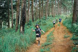 BIB: 
                            <button type="button" onclick="openModal(25661475)" class="btn btn-primary btn-sm float-right btn-popup" data-toggle="modal" data-target=".modal-high-quality">
                        <i class="fas fa-shopping-cart"></i> Add to Cart
                    </button>
                                            <button type="button" onclick="isThisMe(25661475, true)" class="btn btn-success btn-sm float-right btn-popup btn-isme hidden" data-toggle="tooltip" data-placement="bottom" title="นี่คือรูปของคุณใช่ไหม คลิกที่นี่เพื่อเอาเข้าอัลบั้ม">
                        <i class="fas fa-plus"></i> Add to album
                    </button>
                    <button type="button" onclick="isThisMe(25661475, false)" class="btn btn-warning btn-sm float-right btn-popup btn-isnotme hidden">
                        <i class="fas fa-ban"></i> Remove from album
                    </button>